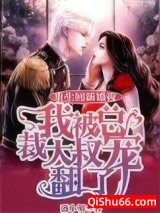 重生回新婚夜，我被总裁大叔宠翻了小说