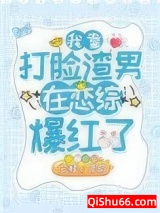 我靠打脸渣男在恋综爆红了小说