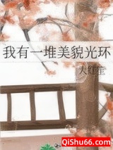 我有一堆美貌光环小说
