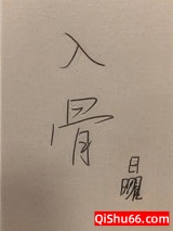 入骨小说