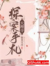 大理寺探案手札小说