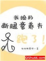 我捡的断腿童养夫跑了小说