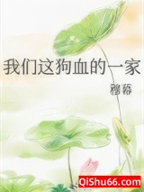 我们这狗血的一家小说