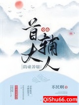 穿成首辅大人的童养媳小说