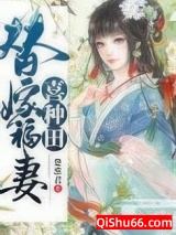 替嫁福妻喜种田小说