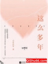 这么多年（出书版）小说