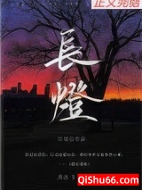 长灯小说