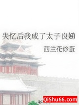 失忆后我成了太子良娣小说
