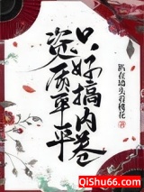 资质平平只好搞内卷小说