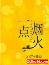 一点烟火小说