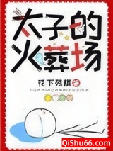 分手后太子火葬场了小说