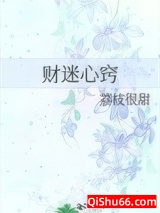 财迷心窍小说