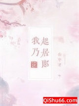 我乃起居郎小说