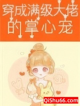 穿成满级大佬的掌心宠[六零]小说