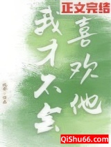 我才不会喜欢他小说