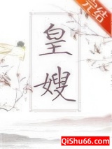 皇嫂小说