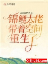 锦鲤大佬带着空间重生了小说
