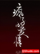 疯子的爱情小说