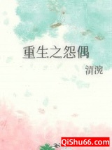 重生怨偶小说