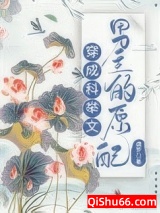 穿成科举文男主的原配小说