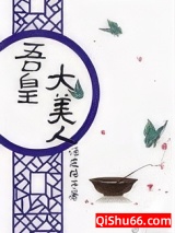 吾皇大美人（重生）小说