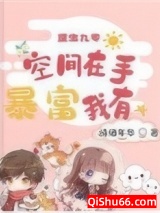 重生九零：空间在手 暴富我有小说