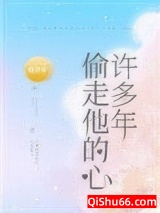 偷走他的心许多年小说
