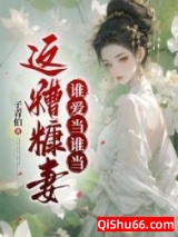 这糟糠妻谁爱当谁当小说