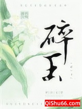 碎玉小说