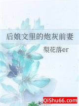 后娘文里的炮灰前妻小说