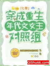 穿成重生年代文女主对照组[七零]小说