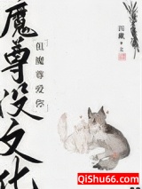 魔尊没文化，但魔尊爱你小说