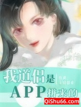 我道侣是APP拼来的小说