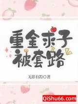 重金求子被套路小说