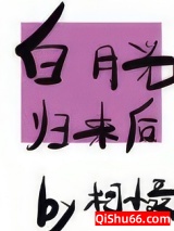 白月光归来后小说