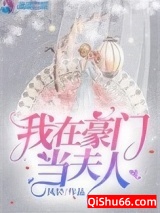 我在豪门当夫人小说