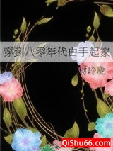 穿到八零年代白手起家小说