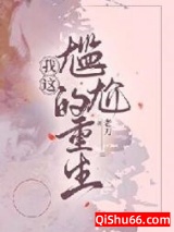 我这尴尬的重生[年代]小说