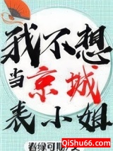 我不想当京城表小姐啊！！小说