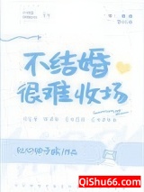 不结婚很难收场小说