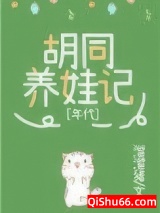 九零胡同养娃记小说