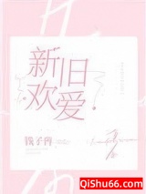 新欢旧爱小说