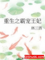 重生之霸宠王妃小说