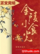 金陵小食光小说