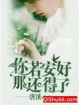 你若安好，那还得了小说