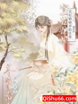 宣妃娘娘养娃日常(清穿)小说