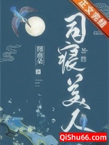 司寝美人小说