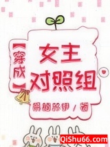 穿成女主对照组小说
