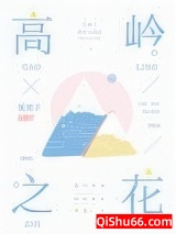 高岭之花小说