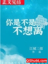 你是不是不想离小说